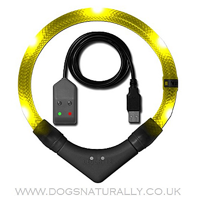 Leuchtie Premium Easy Charge Yellow LED Dog Collar